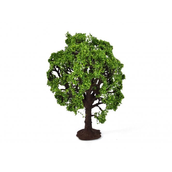 Gaugemaster Beech Premium Tree