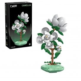 Camellia Plant - 301 pcs