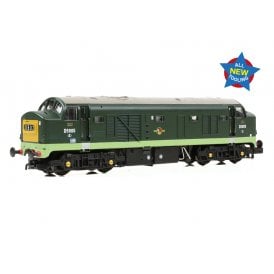 Class 23 'Baby Deltic' Headcode Box D5905 BR Green (SYP) (N)