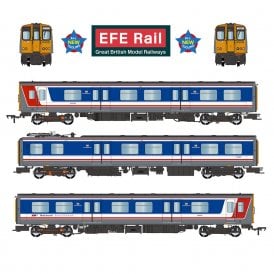 Class 313 3-Car EMU 313018 BR Network SouthEast