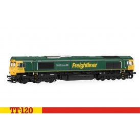Class 66 66619 'Derek W Johnson MBE' Freightliner (TT)