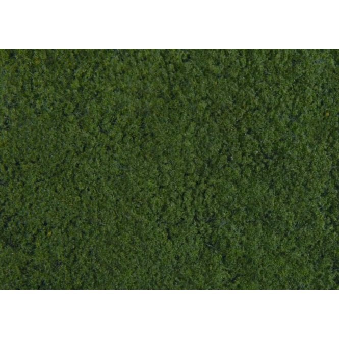 Gaugemaster Dark Green Foliage 20 X 23cm