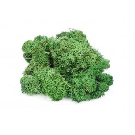 Dark Green Lichen - (80g)
