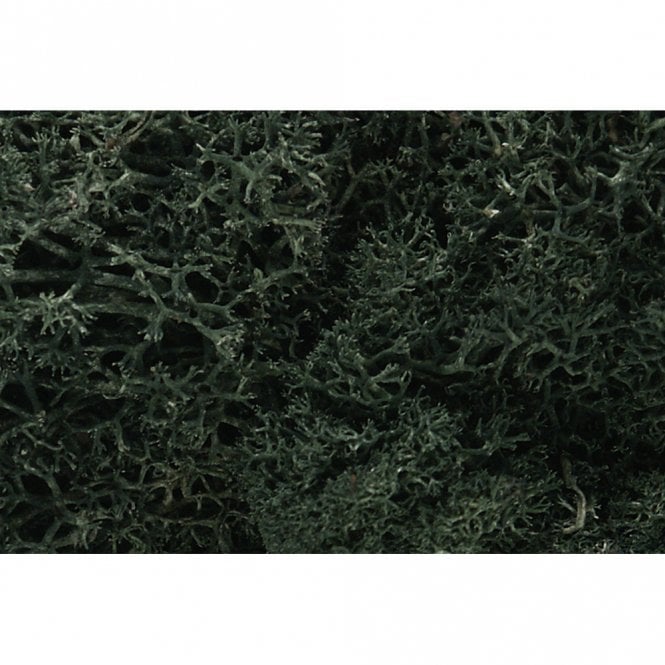 Woodland Scenics Dark Green Lichen