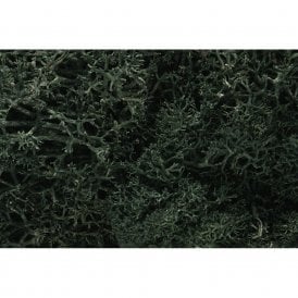 Dark Green Lichen