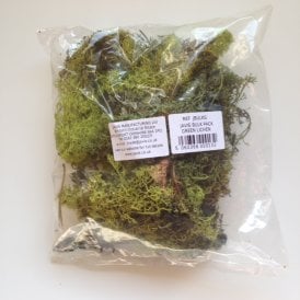 Green Lichen Bulk Pack