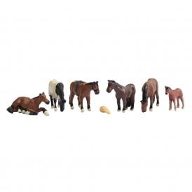 Horses (N)