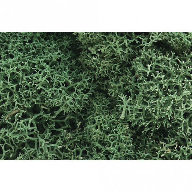 Woodland Scenics Light Green Lichen