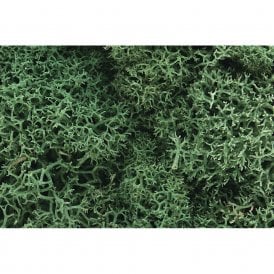 Woodland Scenics Light Green Lichen