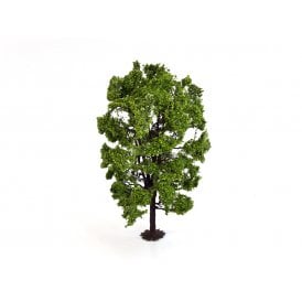 Lime Premium Tree