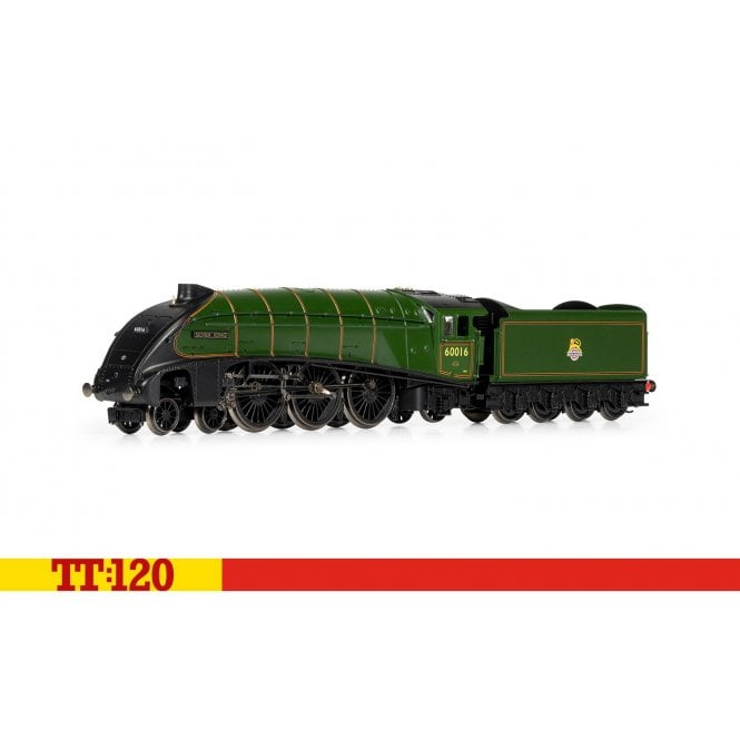 Hornby LNER Class A4 60016 'Silver King' BR (Early) Green (TT)