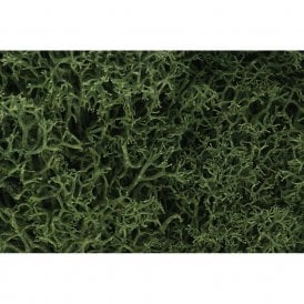 Medium Green Lichen