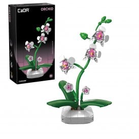 Orchid Plant - 237 pcs