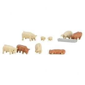 Pigs (N)