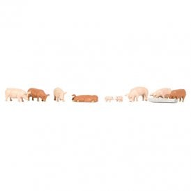 Pigs (OO)