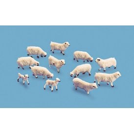 Sheep & lambs (OO)