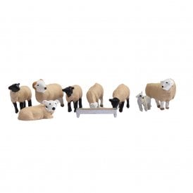 Sheep (N)