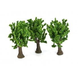 Sycamore Trees (3)