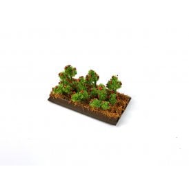 Gaugemaster Tomato Plants (6) (OO)
