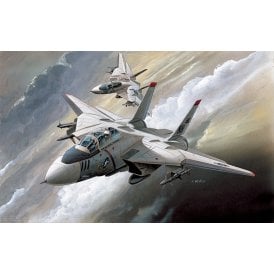 US Navy F-14A 'Tomcat' (1:144)